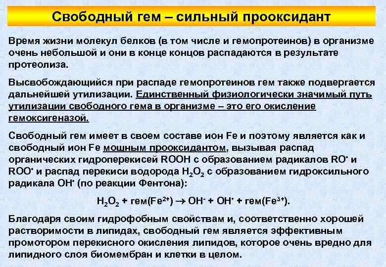Свободный гем – сильный прооксидант Время жизни молекул белков (в том числе и гемопротеинов)