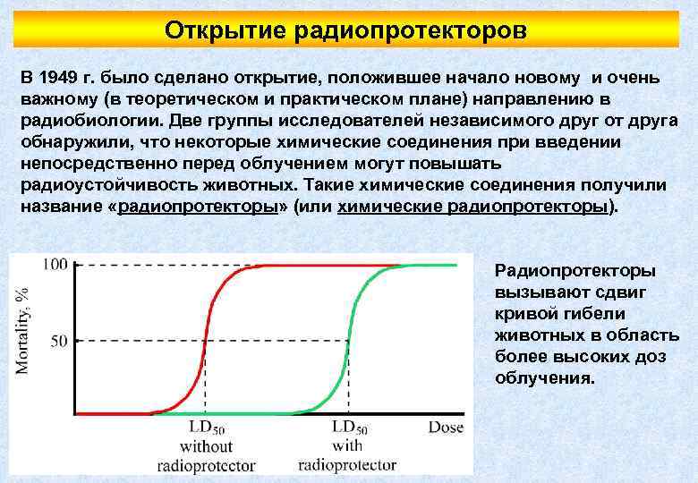 Открытие радиопротекторов В 1949 г. было сделано открытие, положившее начало новому и очень важному