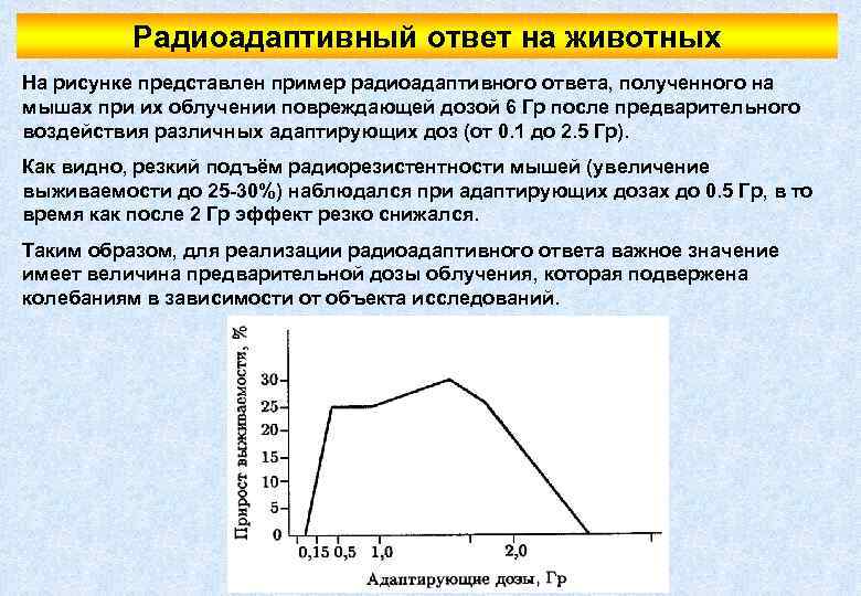 Радиоадаптивный ответ на животных На рисунке представлен пример радиоадаптивного ответа, полученного на мышах при