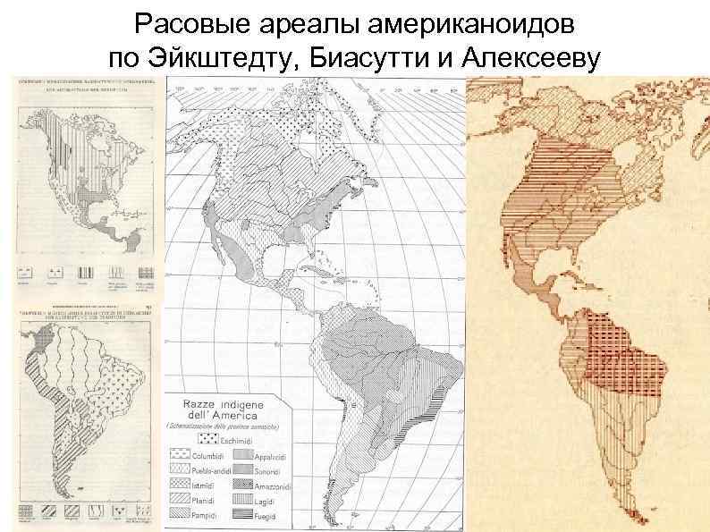 Расовые ареалы американоидов по Эйкштедту, Биасутти и Алексееву 