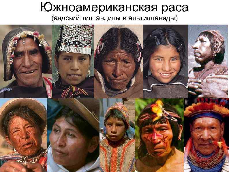 Южноамериканская раса (андский тип: андиды и альтипланиды) 