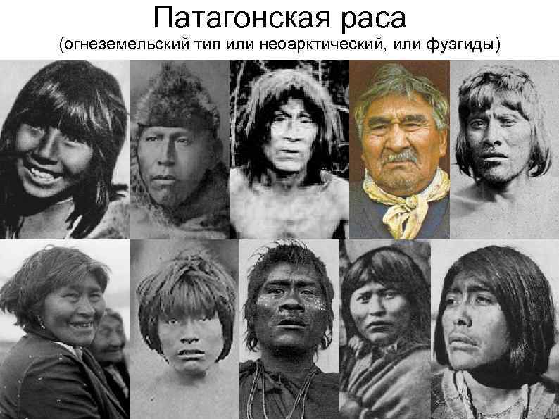 Патагонская раса (огнеземельский тип или неоарктический, или фуэгиды) 