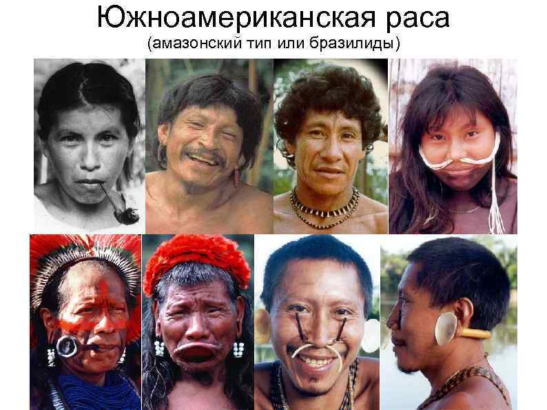 Южноамериканская раса (амазонский тип или бразилиды) 