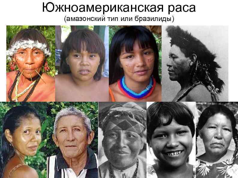 Южноамериканская раса (амазонский тип или бразилиды) 