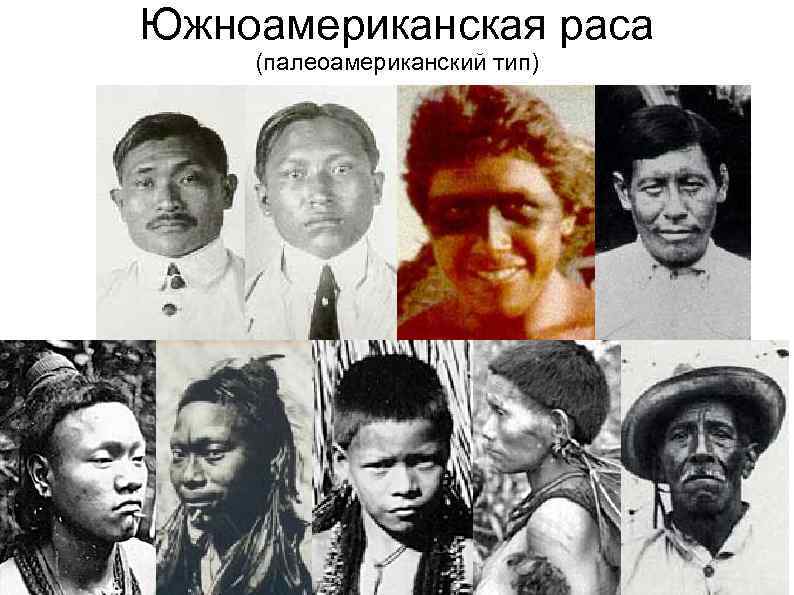 Южноамериканская раса (палеоамериканский тип) 