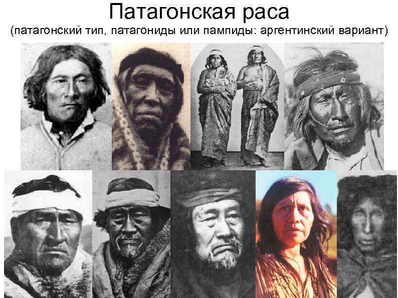Патагонская раса (патагонский тип, патагониды или пампиды: аргентинский вариант) 