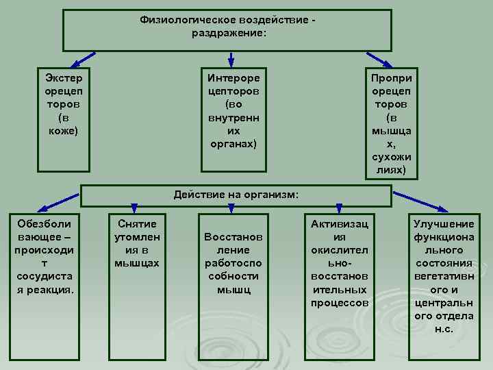 Физиологическое воздействие раздражение: Экстер орецеп торов (в коже) Интероре цепторов (во внутренн их органах)