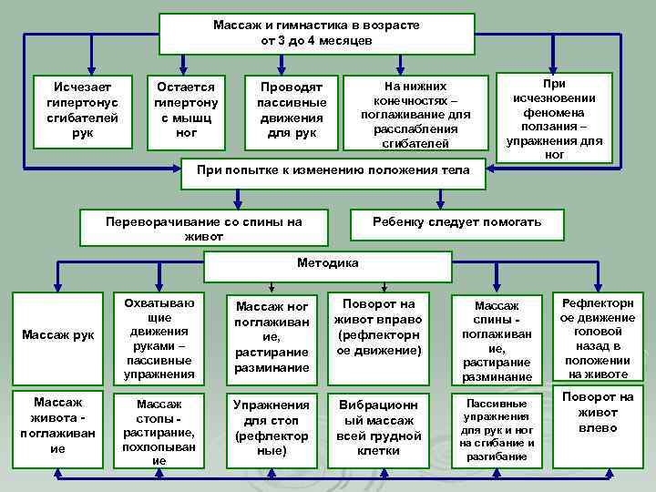 Массаж и гимнастика в возрасте от 3 до 4 месяцев Исчезает гипертонус сгибателей рук