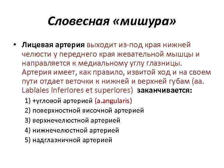 Словесная «мишура» • Лицевая артерия выходит из-под края нижней челюсти у переднего края жевательной