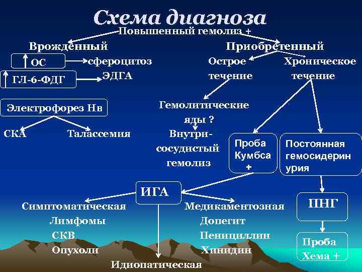 Схема диагноза Повышенный гемолиз + Врожденный ОС ГЛ-6 -ФДГ сфероцитоз ЭДГА Электрофорез Нв СКА
