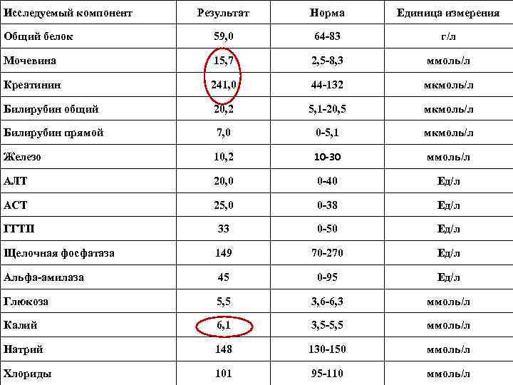 Исследуемый компонент Результат Норма Единица измерения Общий белок 59, 0 64 -83 г/л Мочевина