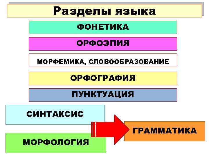 Разделы языка ФОНЕТИКА ОРФОЭПИЯ МОРФЕМИКА, СЛОВООБРАЗОВАНИЕ ОРФОГРАФИЯ ПУНКТУАЦИЯ СИНТАКСИС ГРАММАТИКА МОРФОЛОГИЯ 