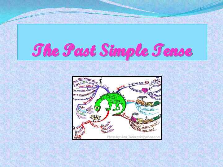 The Past Simple Tense 