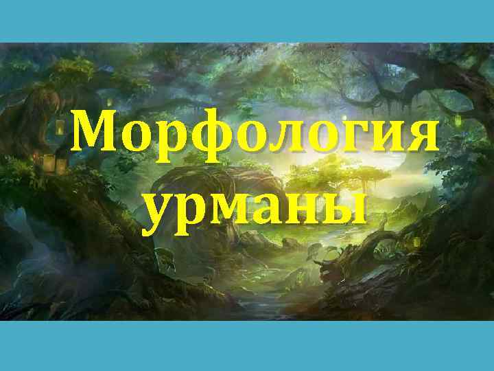 Морфология урманы 