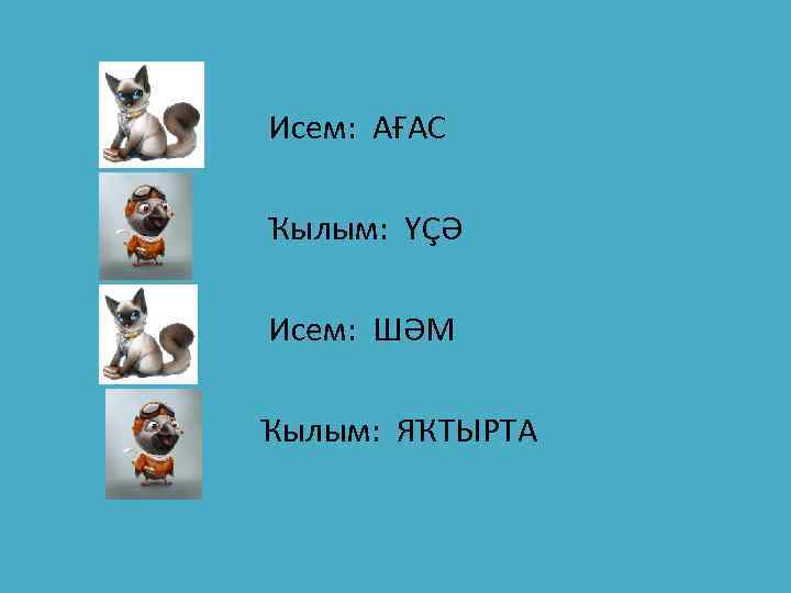 Исем: АҒАС Ҡылым: ҮҪӘ Исем: ШӘМ Ҡылым: ЯҠТЫРТА 