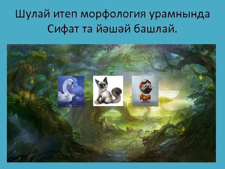 Шулай итеп морфология урамнында Сифат та йәшәй башлай. 