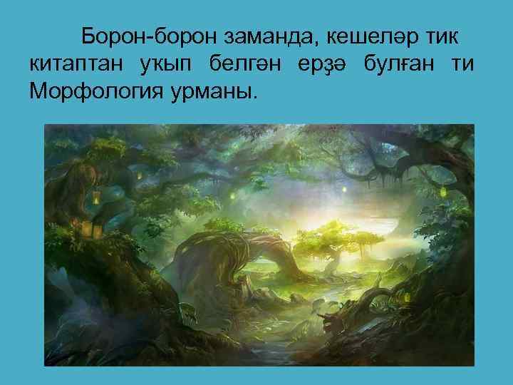 Борон-борон заманда, кешеләр тик китаптан уҡып белгән ерҙә булған ти Морфология урманы. 