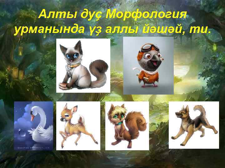 Алты дуҫ Морфология урманында үҙ аллы йәшәй, ти. 