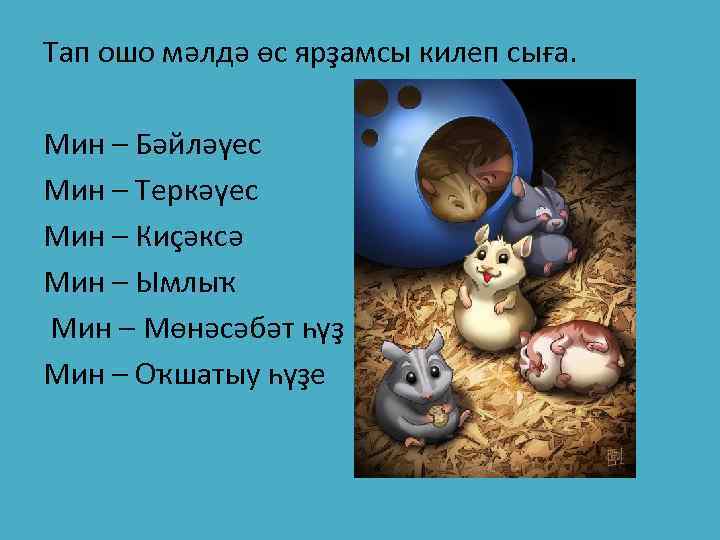 Тап ошо мәлдә өс ярҙамсы килеп сыға. Мин – Бәйләүес Мин – Теркәүес Мин