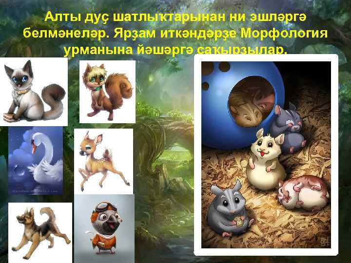 Алты дуҫ шатлыҡтарынан ни эшләргә белмәнеләр. Ярҙам иткәндәрҙе Морфология урманына йәшәргә саҡырҙылар. 