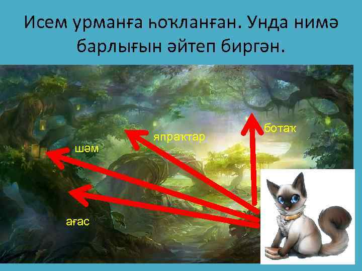 Исем урманға һоҡланған. Унда нимә барлығын әйтеп биргән. шәм ағас япраҡтар ботаҡ 