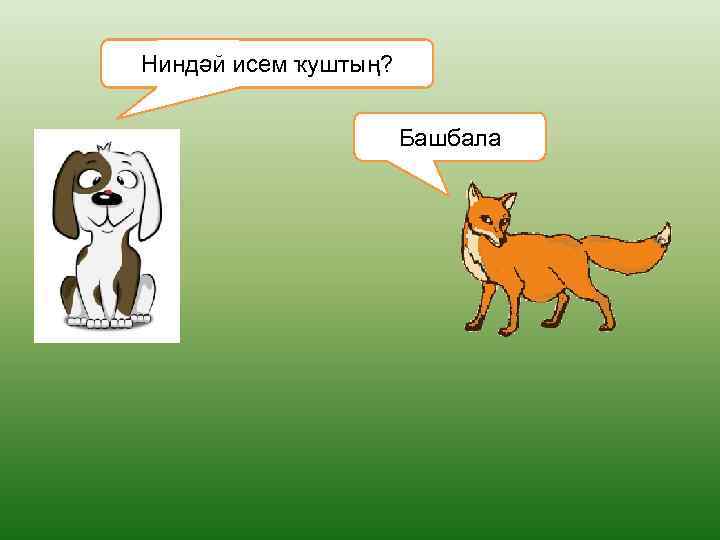 Ниндәй исем ҡуштың? Башбала 