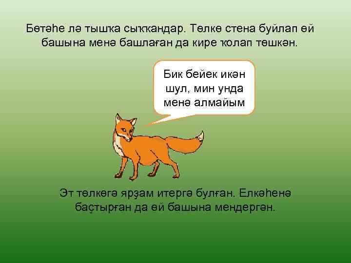 Бөтәһе лә тышҡа сыҡҡандар. Төлкө стена буйлап өй башына менә башлаған да кире ҡолап