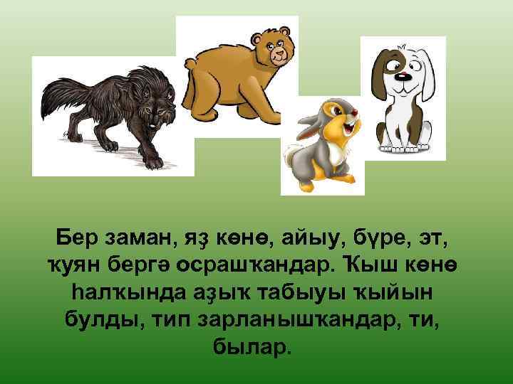 Бер заман, яҙ көнө, айыу, бүре, эт, ҡуян бергә осрашҡандар. Ҡыш көнө һалҡында аҙыҡ