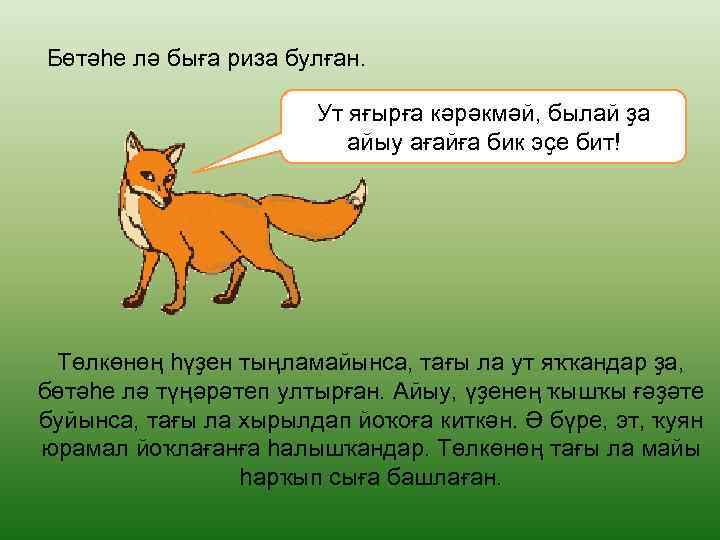 Бөтәһе лә быға риза булған. Ут яғырға кәрәкмәй, былай ҙа айыу ағайға бик эҫе