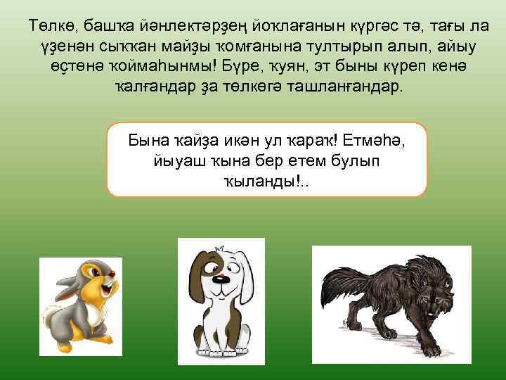 Төлкө, башҡа йәнлектәрҙең йоҡлағанын күргәс тә, тағы ла үҙенән сыҡҡан майҙы ҡомғанына тултырып алып,