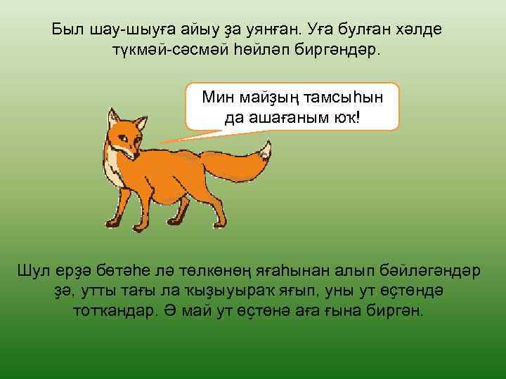 Был шау-шыуға айыу ҙа уянған. Уға булған хәлде түкмәй-сәсмәй һөйләп биргәндәр. Мин майҙың тамсыһын