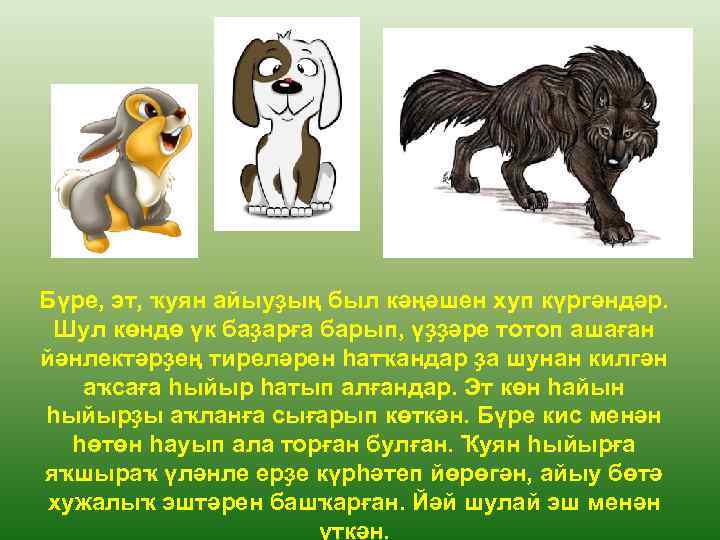 Бүре, эт, ҡуян айыуҙың был кәңәшен хуп күргәндәр. Шул көндө үк баҙарға барып, үҙҙәре