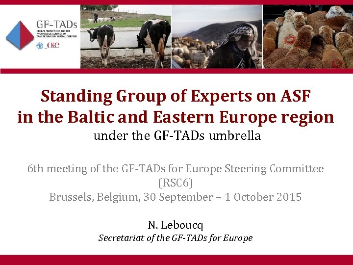 Standing Group of Experts on ASF in the Baltic and Eastern Europe region under