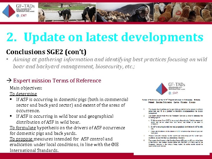 2. Update on latest developments Conclusions SGE 2 (con’t) • Aiming at gathering information