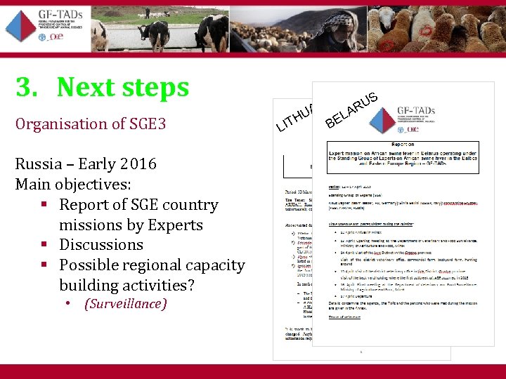 3. Next steps Organisation of SGE 3 A US NI R A HU BELA