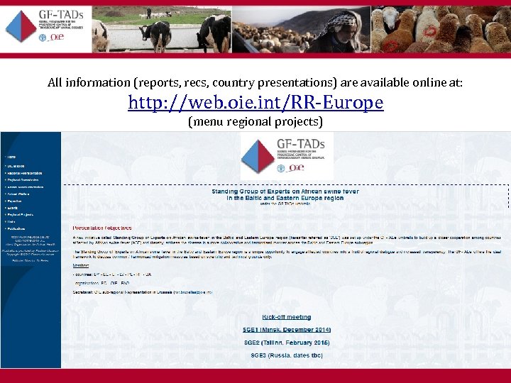 All information (reports, recs, country presentations) are available online at: http: //web. oie. int/RR-Europe