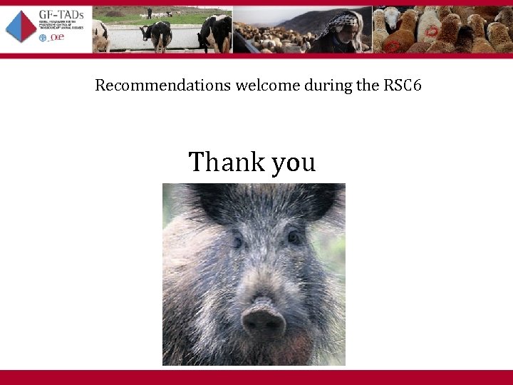 Recommendations welcome during the RSC 6 Thank you 6 th West Eurasia Roadmap Meeting