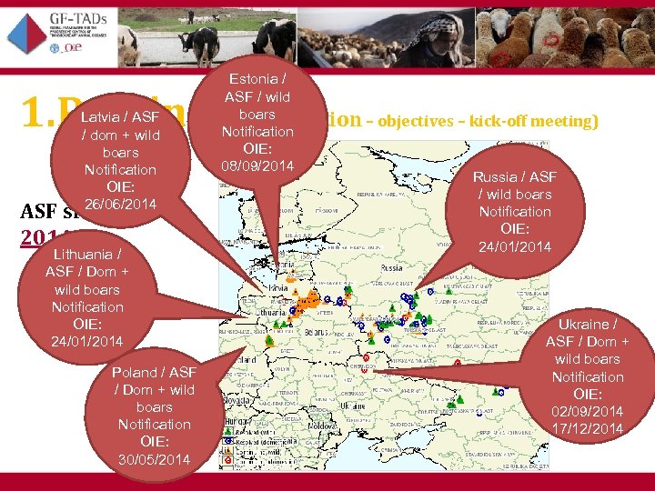Estonia / ASF / wild boars (situation – objectives – kick-off meeting) Notification OIE: