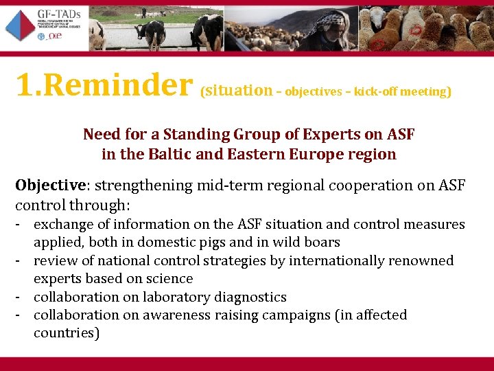 1. Reminder (situation – objectives – kick-off meeting) Need for a Standing Group of