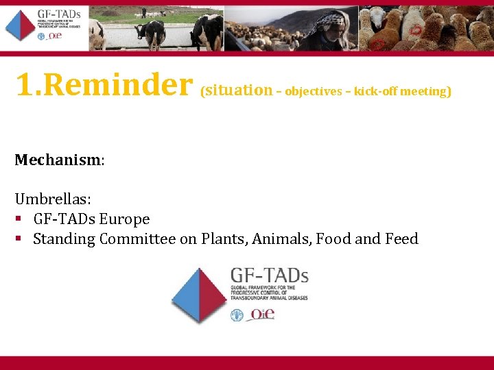 1. Reminder (situation – objectives – kick-off meeting) Mechanism: Umbrellas: § GF-TADs Europe §