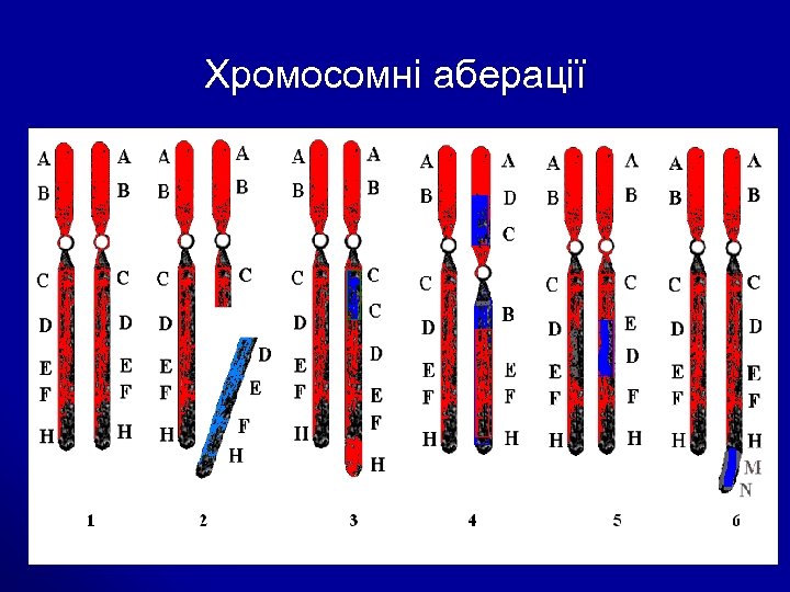 Хромосомні аберації 