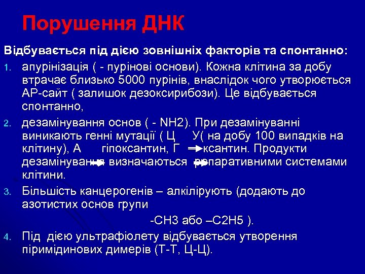 Порушення ДНК Відбувається під дією зовнішніх факторів та спонтанно: 1. апурінізація ( - пурінові