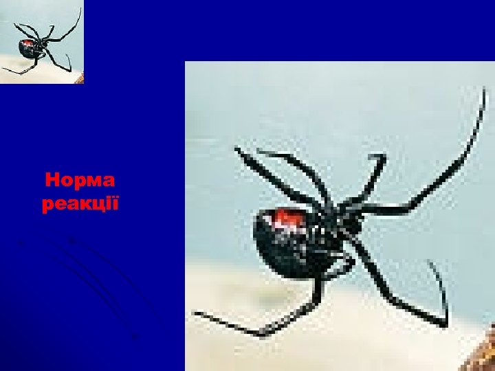 Норма реакції 