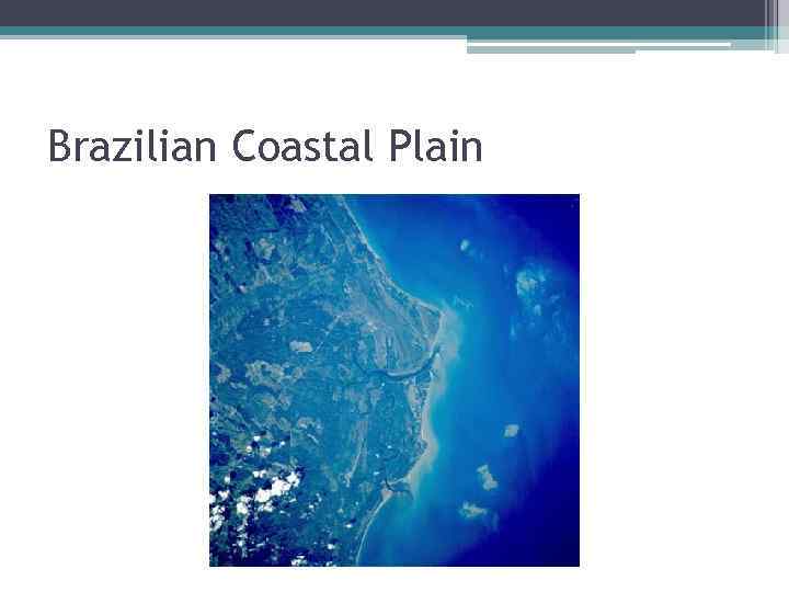 Brazilian Coastal Plain 