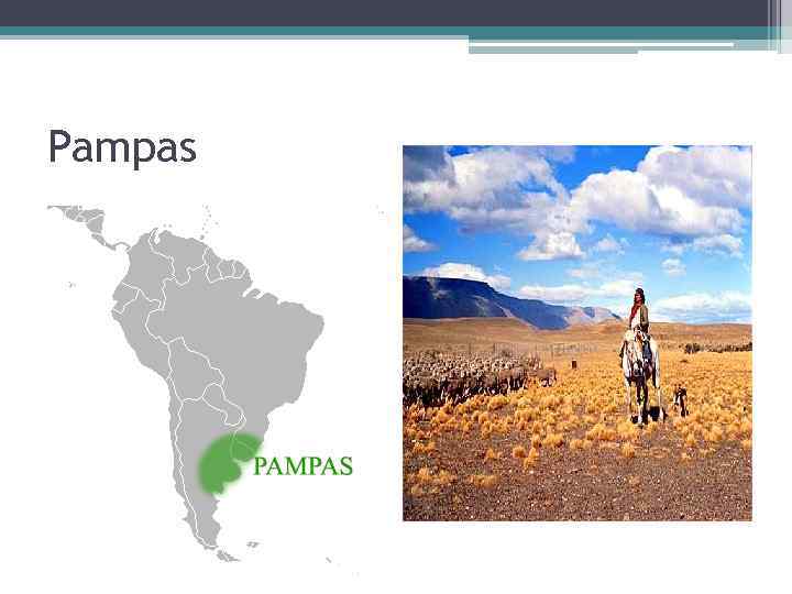 Pampas 