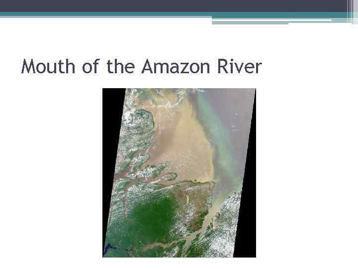 Mouth of the Amazon River 