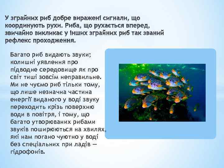 Багато риб видають звуки; колишні уявлення про підводне середовище як про світ тиші зовсім