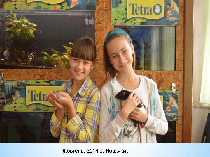 Жовтень, 2014 р. Новачки. 