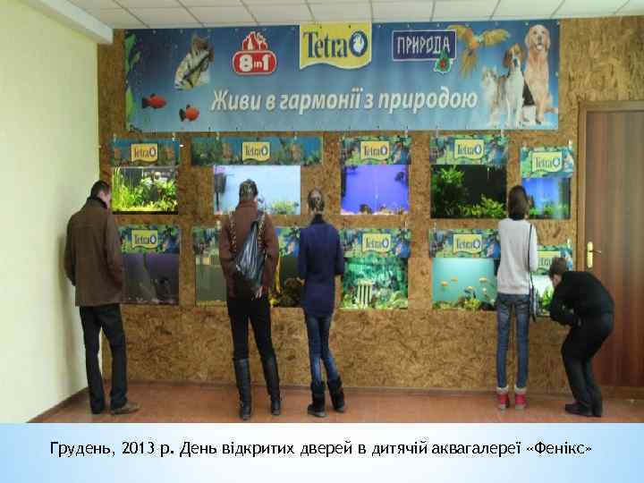 Грудень, 2013 р. День відкритих дверей в дитячій аквагалереї «Фенікс» 