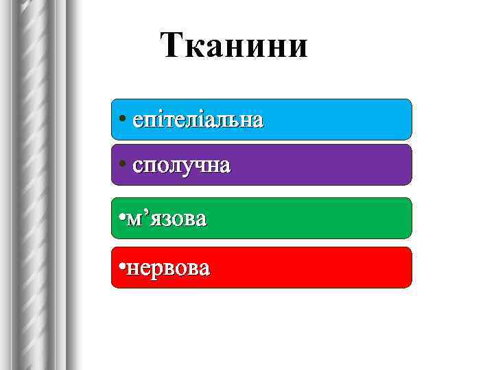 Тканини • епітеліальна • сполучна • м’язова • нервова 